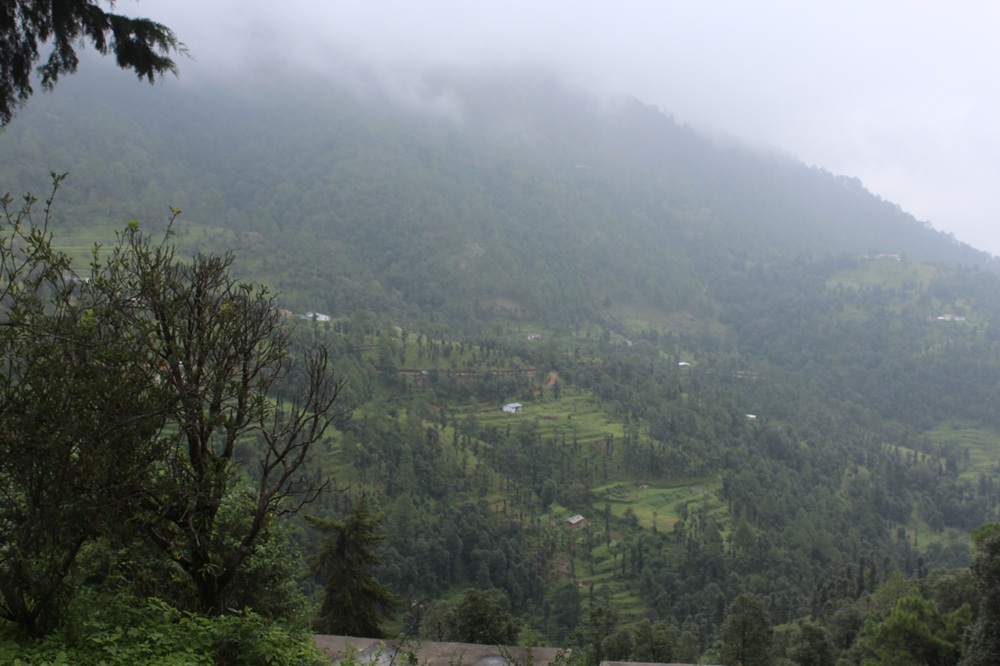 Dunagiri Mountain Himalayas