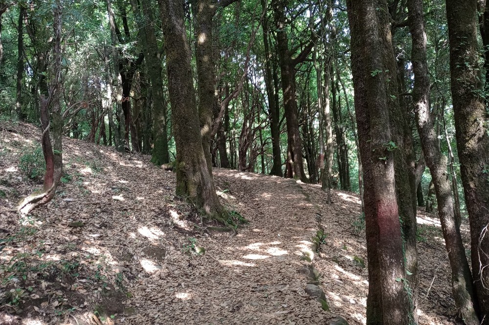 Pandukholi Trekking Trail