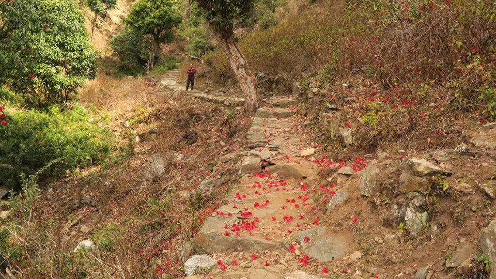 Delhi to Mahavatar Babaji Cave