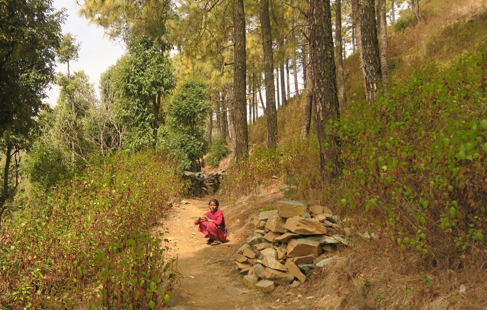 Mahavatar Babaji Cave Trek Trekking Guide Service Uttarakhand