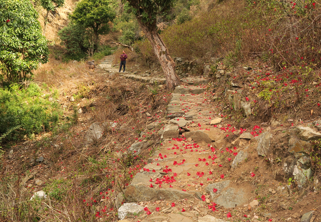 Mahavatar Babaji Cave Trail Dwarahat Himalayas