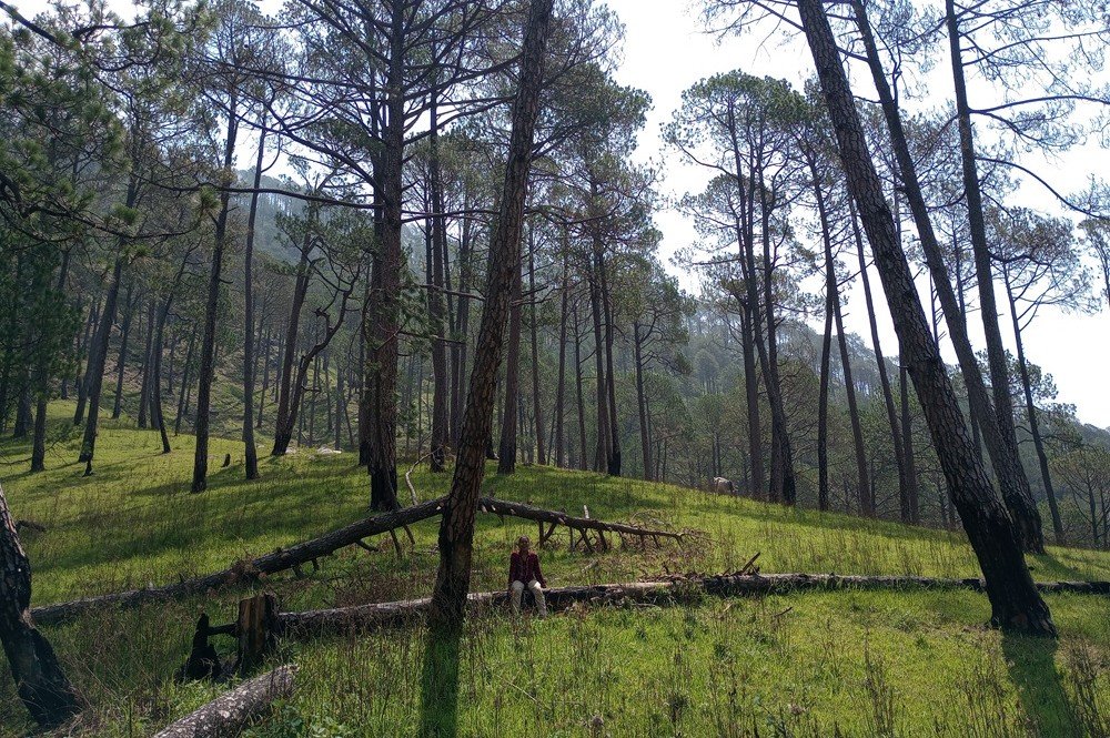Mahavatar Babaji Cave Weather Guide Temperatures & Travel Tips