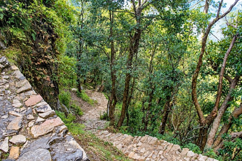 Rishikesh to Mahavatar Babaji Cave Distance & Places to Visit